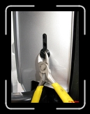fortwo_II_Front_014 * 525 x 700 * (252KB)