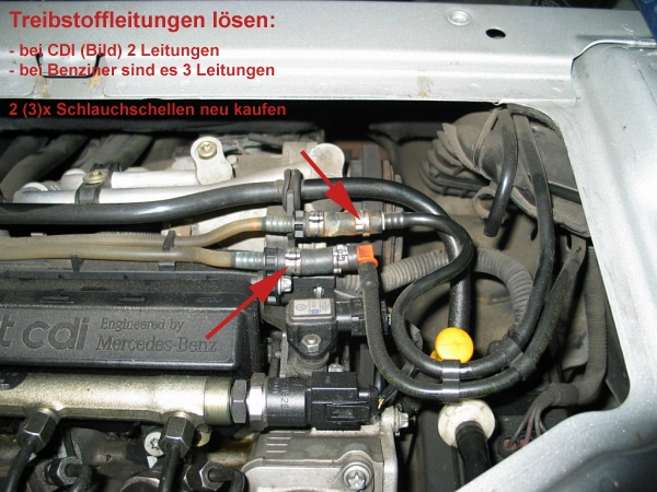 Nächstes Bild