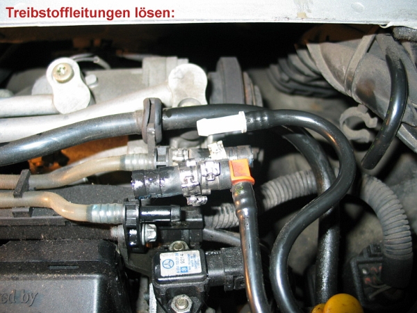 Nächstes Bild